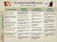 Stages and Milestones: A Guide to Understanding Child Development
