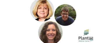 Mastering the Juggle: Strategies for Achieving Work-Life Balance As Parents