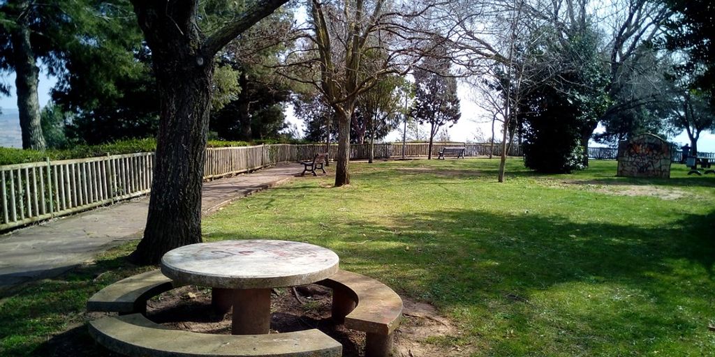 family enjoying picnic in park