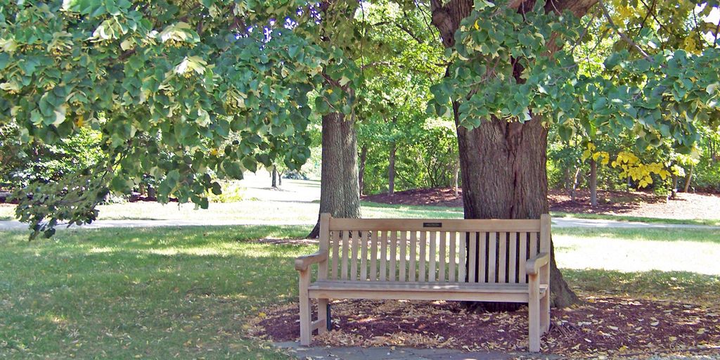 family with children in a park