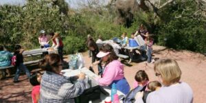 family enjoying picnic in park