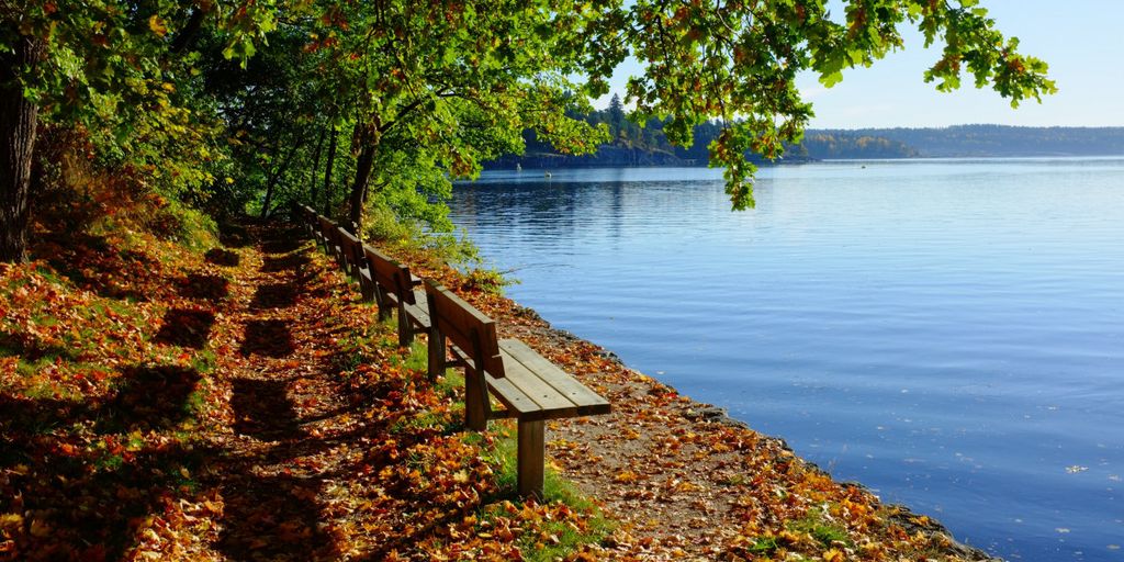 person relaxing in a peaceful home office with nature view