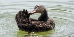 happy parents with newborn baby at home