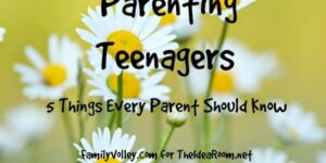 parenting challenges